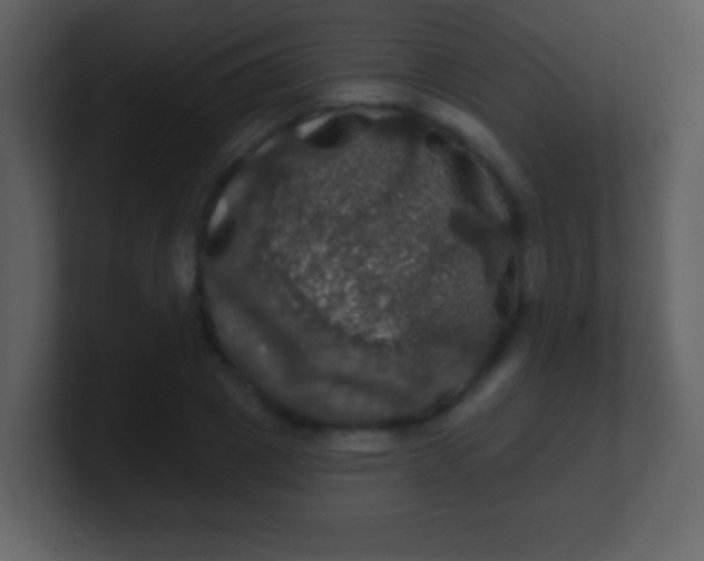 X0000100890833200807081039