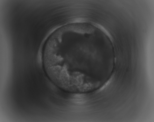 X0000100890835200807081039