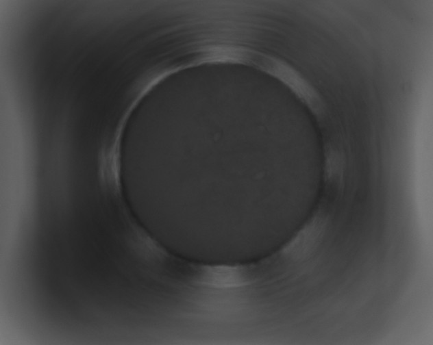 X0000100890836200807081039