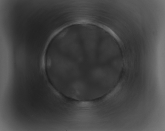 X0000100890839200807081039