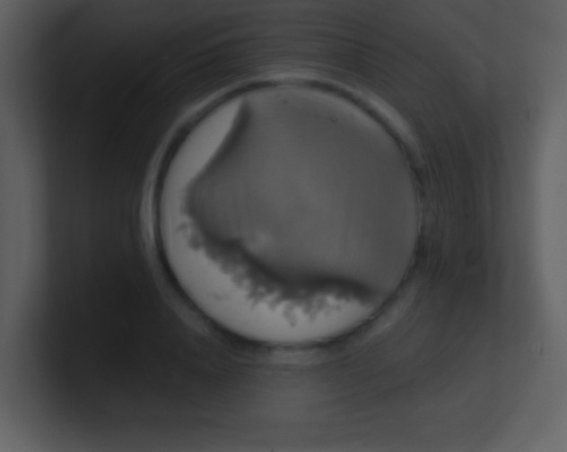 X0000100890840200807081039