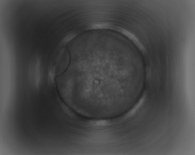 X0000100890841200807081039