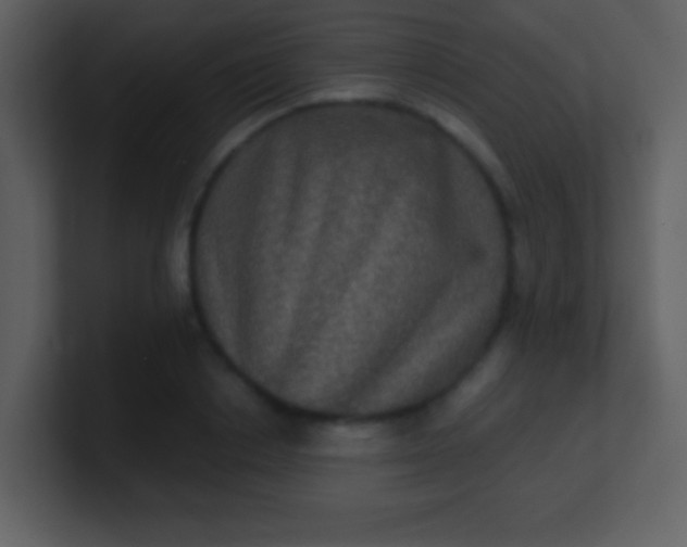 X0000100890842200807081039