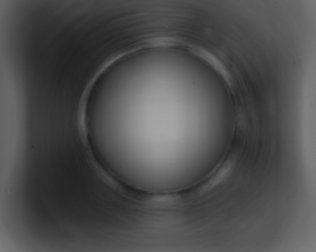 X0000100890843200807081039