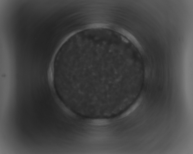 X0000100890844200807081039