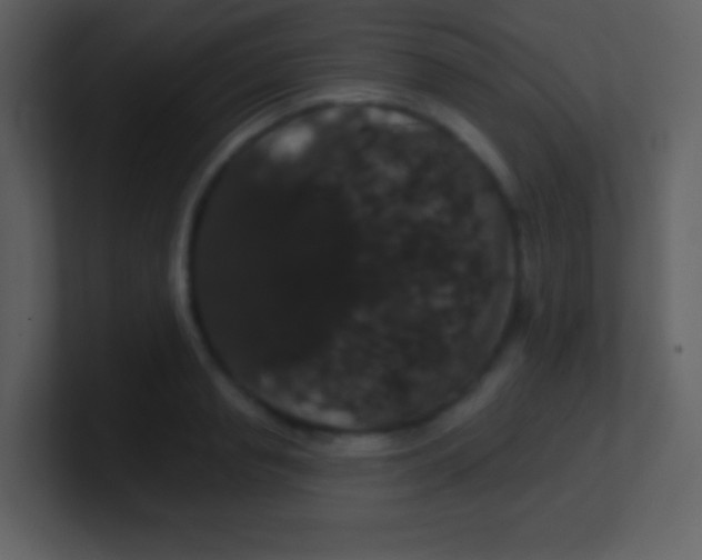 X0000100890845200807081039