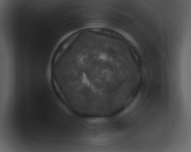 X0000100890846200807081039