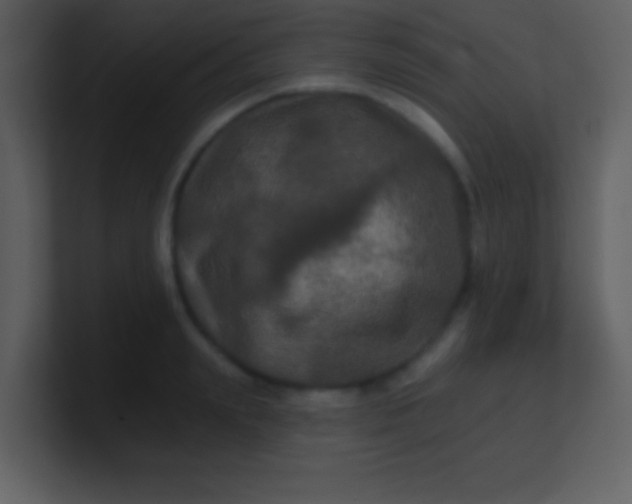 X0000100890847200807081039