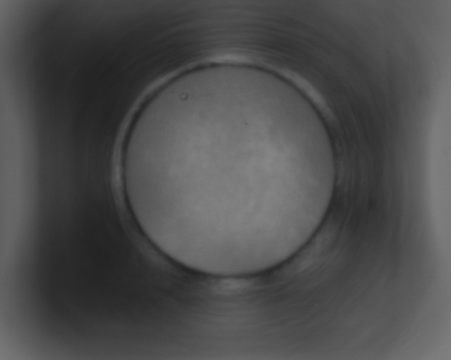 X0000100890848200807081039