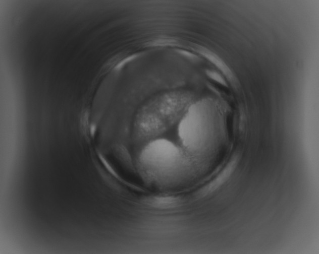 X0000100890849200807081039