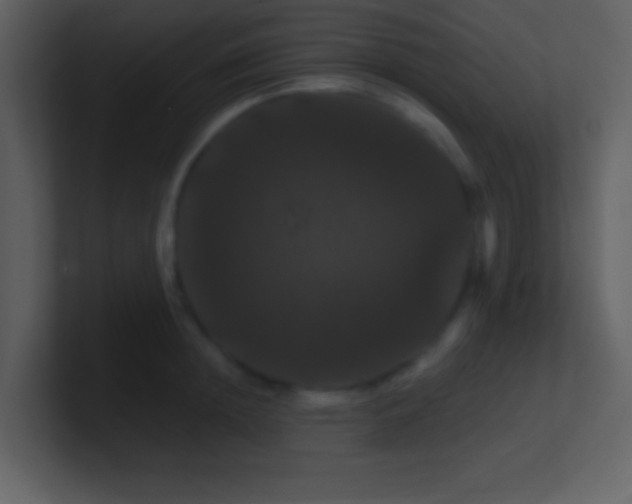 X0000100890852200807081039