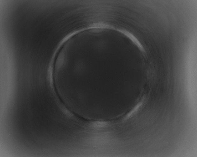 X0000100890854200807081039