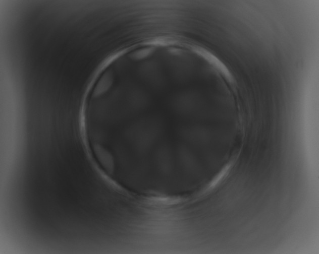 X0000100890855200807081039