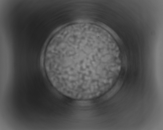 X0000100890856200807081039