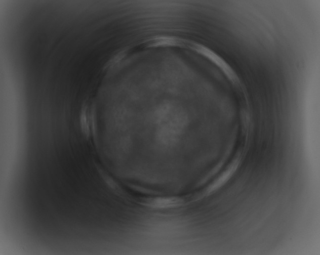 X0000100890857200807081039