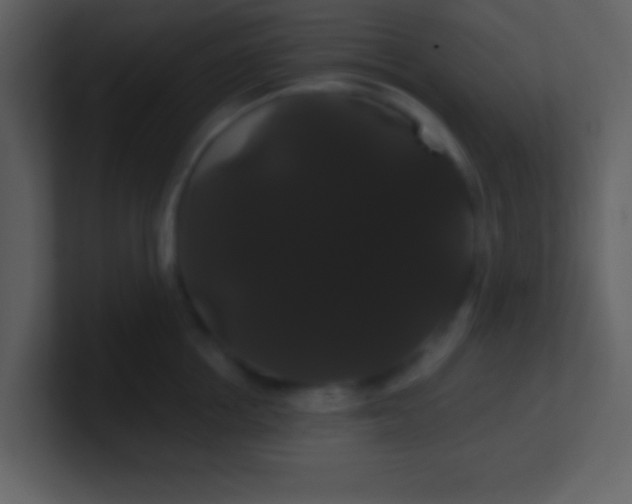 X0000100890858200807081039