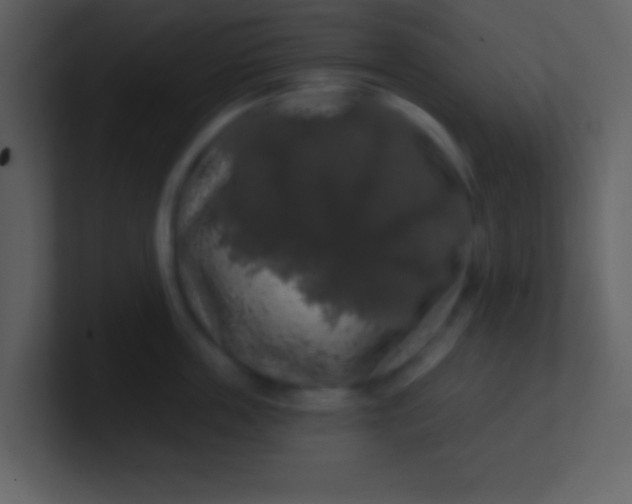 X0000100890859200807081039