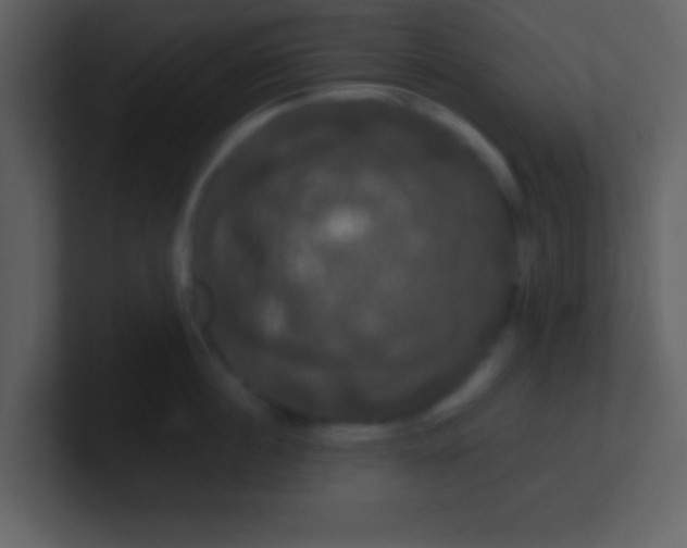 X0000100890860200807081039