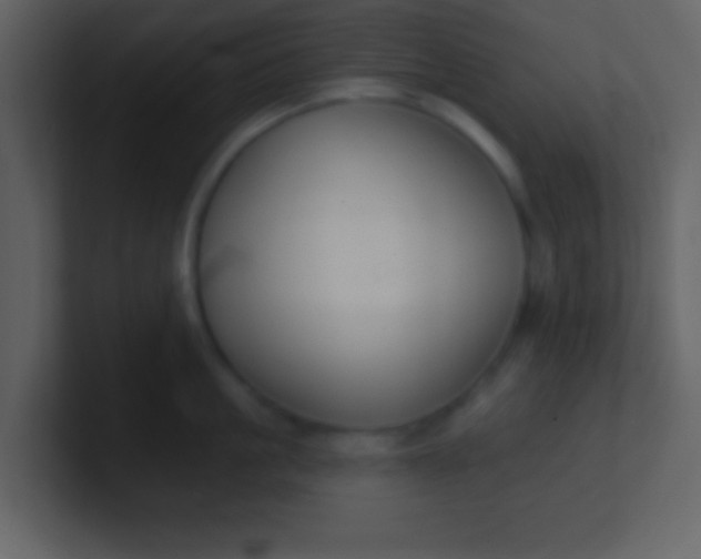 X0000100890861200807081039