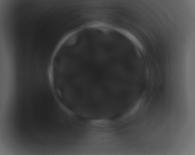 X0000100890863200807081039