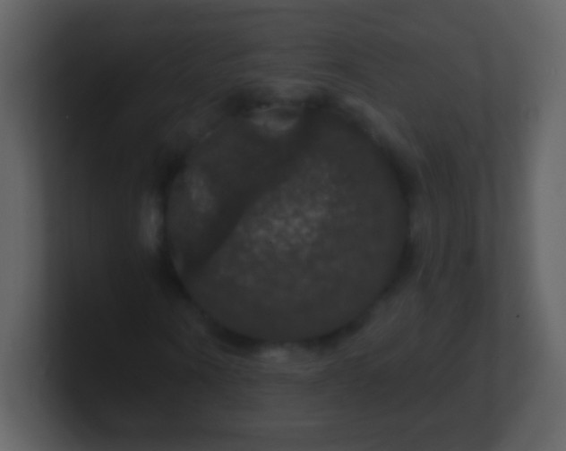 X0000100890866200807081039