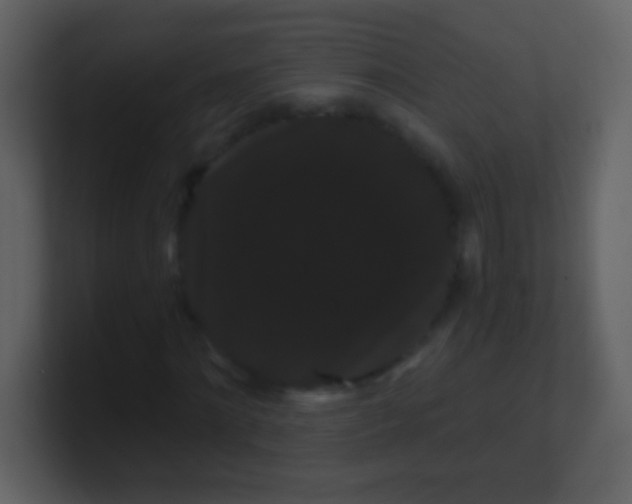 X0000100890868200807081039