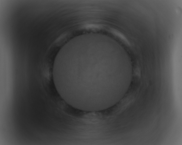 X0000100890869200807081039