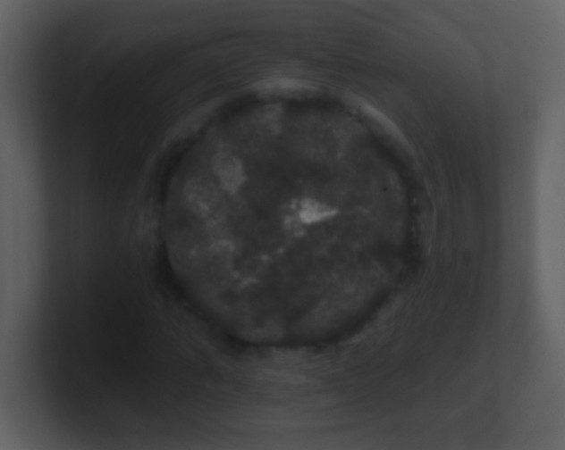 X0000100890870200807081039