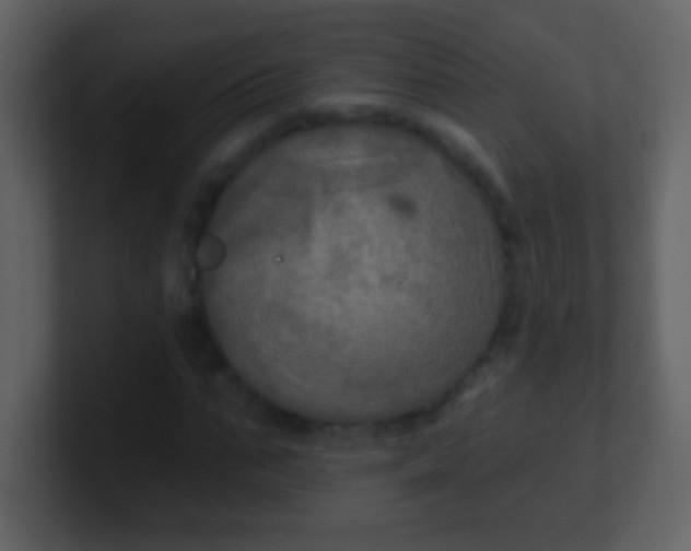 X0000100890871200807081039