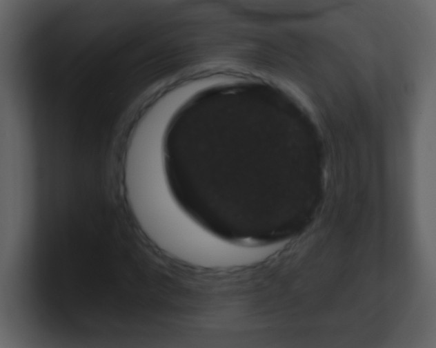 X0000100890872200807081039