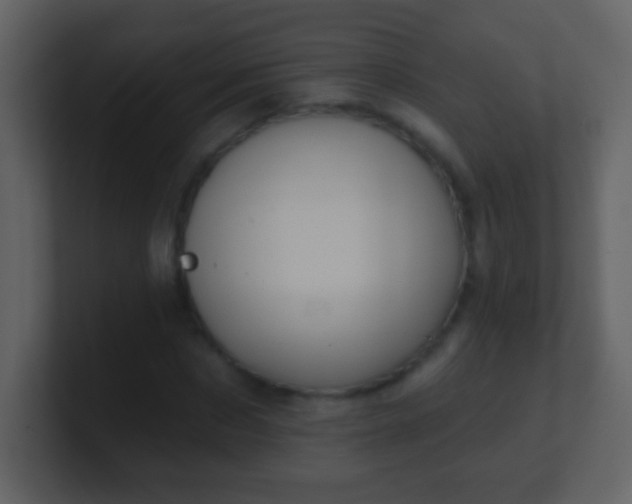 X0000100890873200807081039