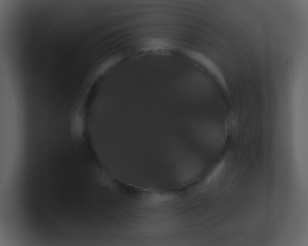 X0000100890874200807081039