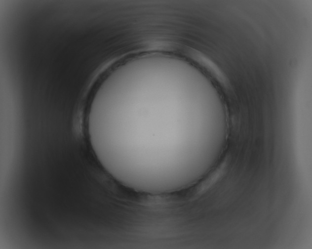 X0000100890875200807081039