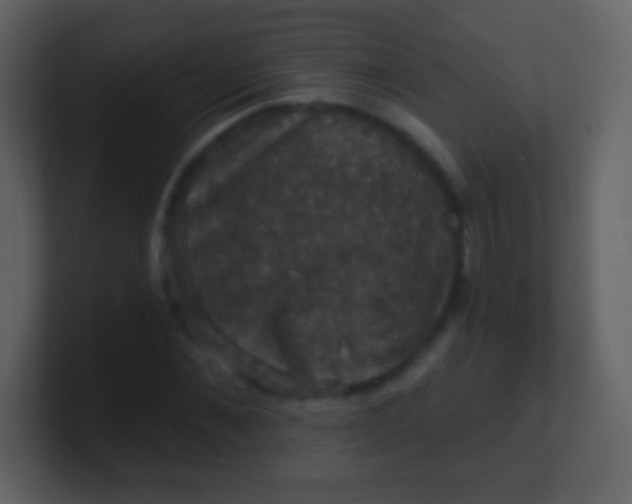 X0000100890876200807081039