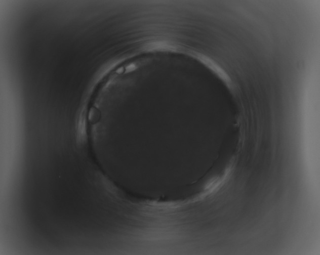 X0000100890877200807081039