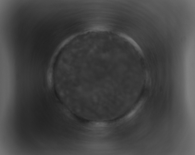 X0000100890878200807081039