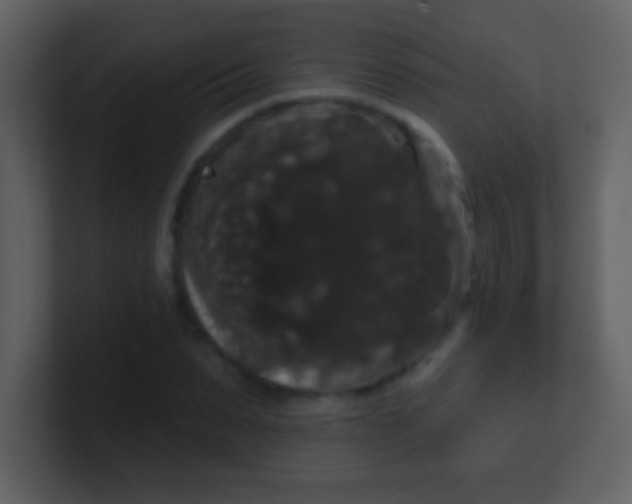 X0000100890879200807081039