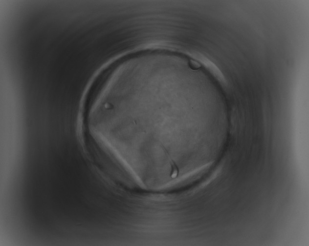 X0000100890880200807081039