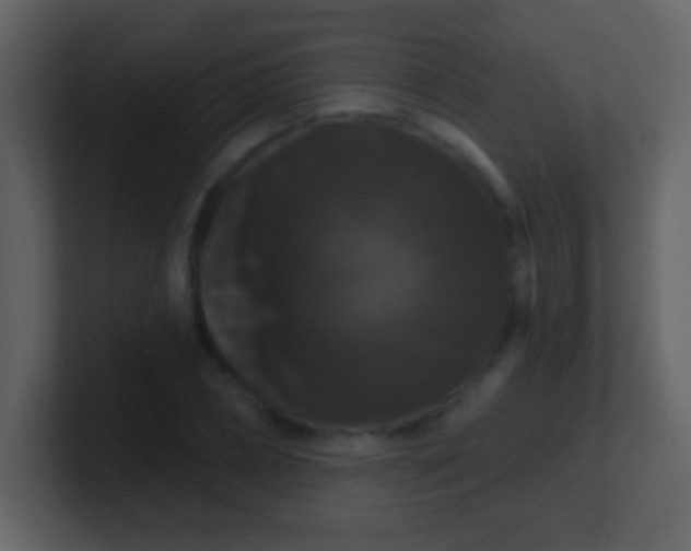 X0000100890882200807081038