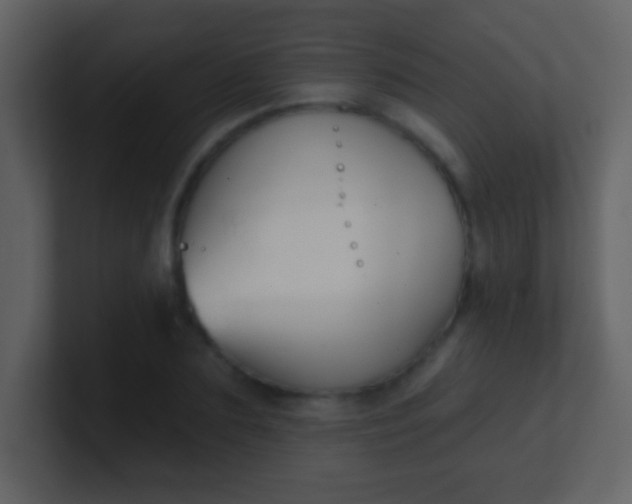 X0000100890883200807081038