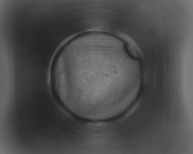 X0000100890884200807081038