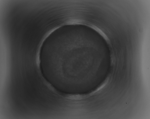 X0000100890885200807081038