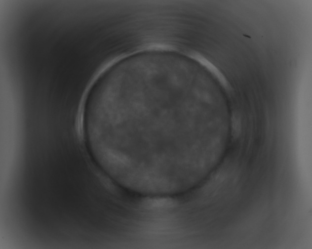 X0000100890886200807081038