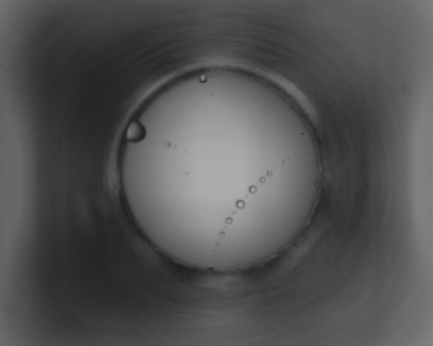 X0000100890887200807081038