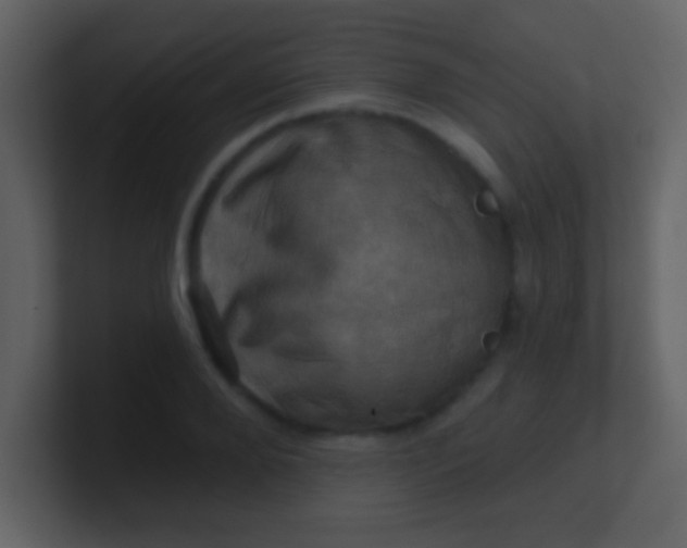 X0000100890888200807081038