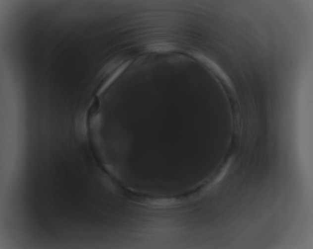 X0000100890889200807081038