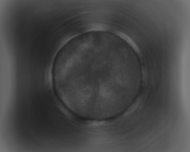 X0000100890890200807081038