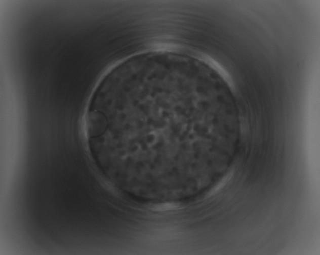 X0000100890891200807081038