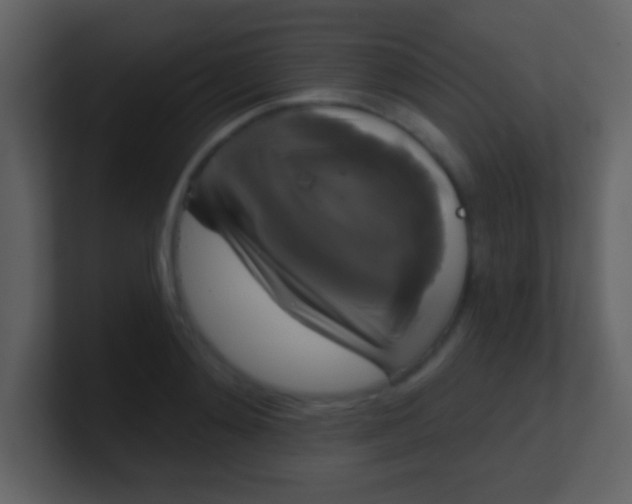 X0000100890892200807081038