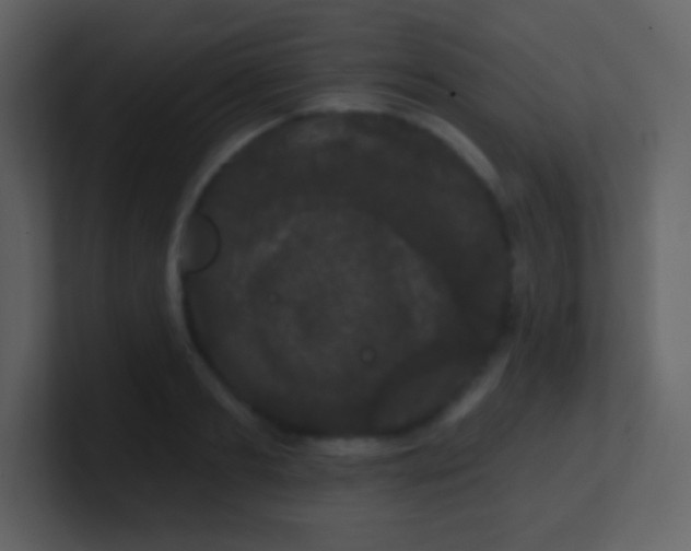 X0000100890893200807081038